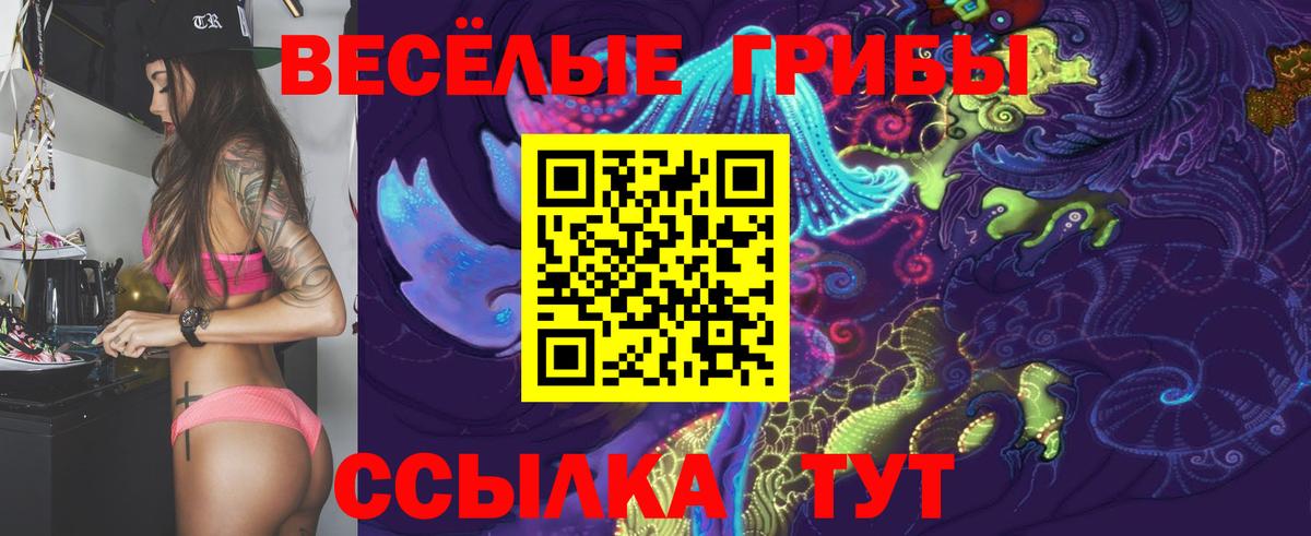 Галлюциногенные грибы Psilocybine cubensis Тулун