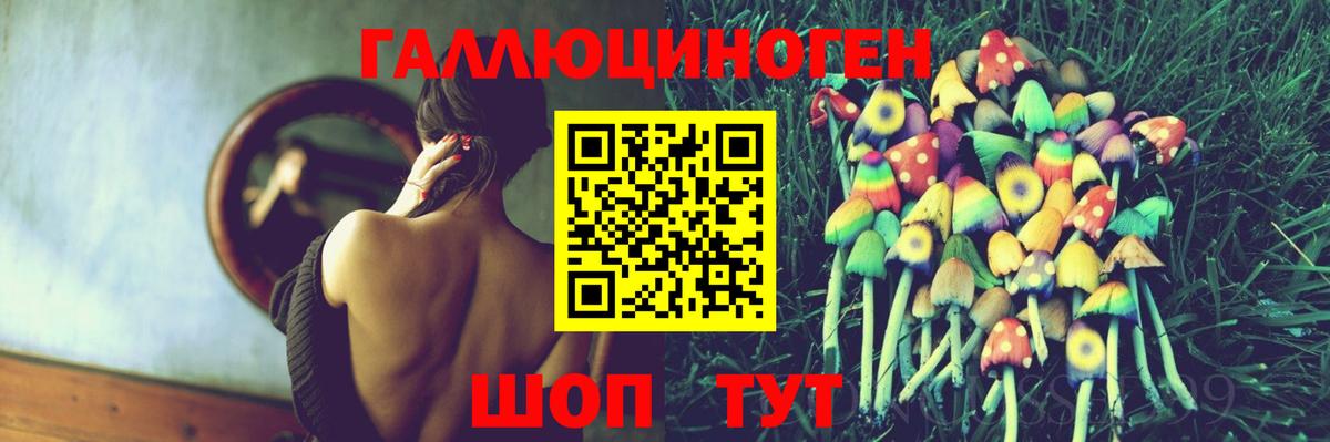 Тулун  Псилоцибиновые грибы MAGIC MUSHROOMS  наркота  Вход с VPN 